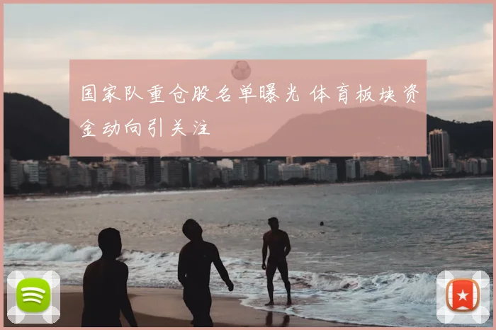 国家队重仓股名单曝光 体育板块资金动向引关注