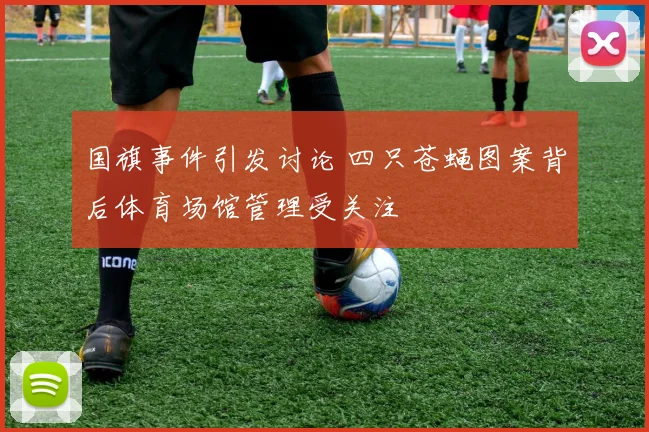 国旗事件引发讨论 四只苍蝇图案背后体育场馆管理受关注
