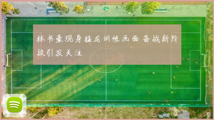 林书豪现身猛龙训练画面 备战新阶段引发关注