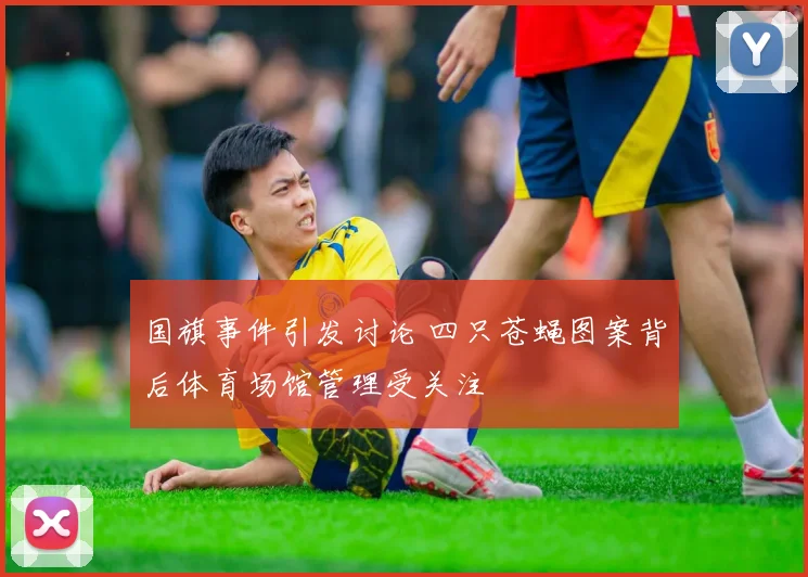 国旗事件引发讨论 四只苍蝇图案背后体育场馆管理受关注