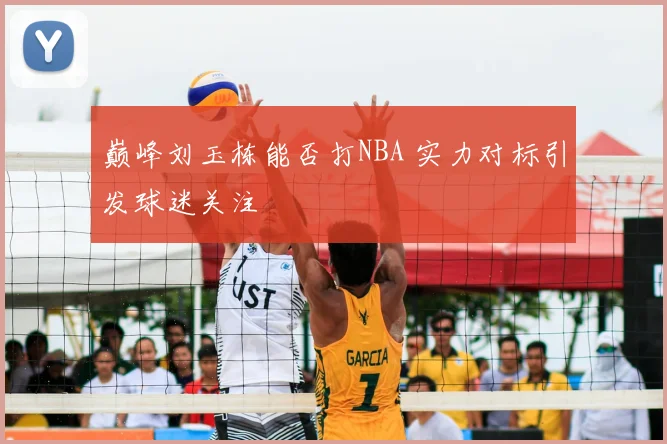 巅峰刘玉栋能否打NBA 实力对标引发球迷关注