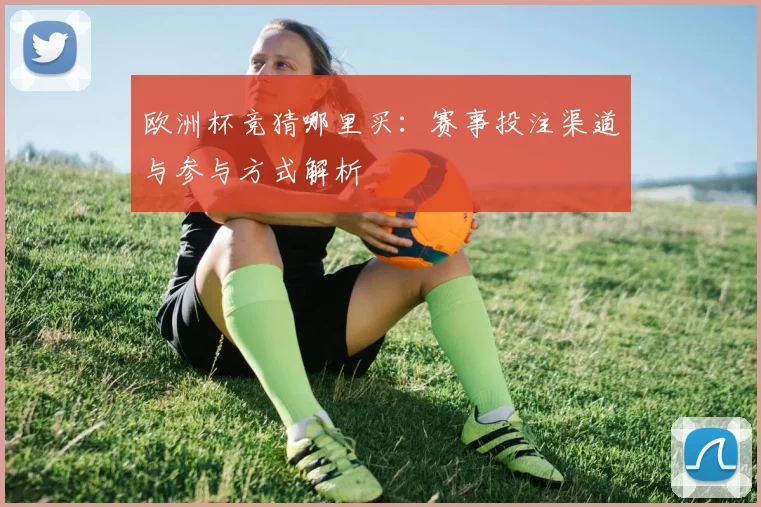欧洲杯竞猜哪里买:赛事投注渠道与参与方式解析