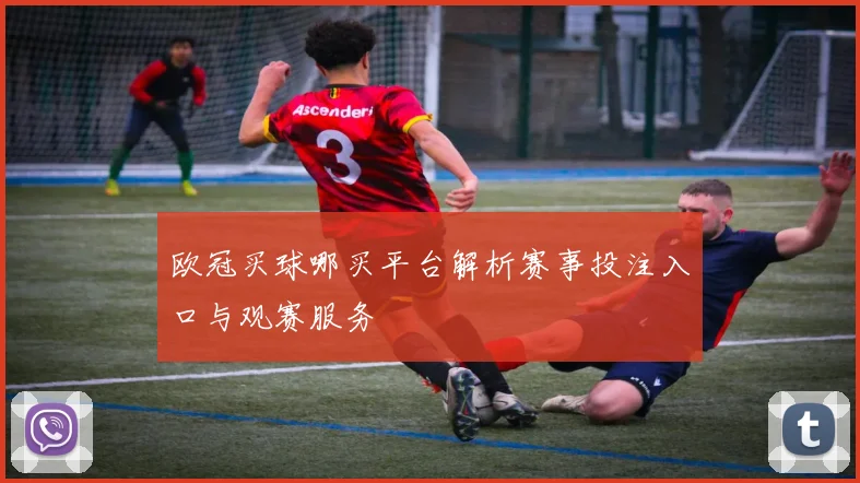 欧冠买球哪买平台解析赛事投注入口与观赛服务
