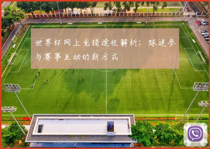 世界杯网上竞猜途径解析：球迷参与赛事互动的新方式