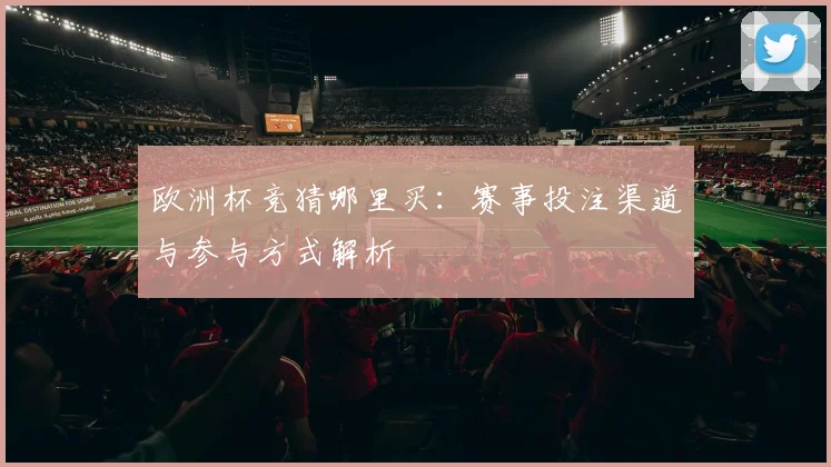 欧洲杯竞猜哪里买:赛事投注渠道与参与方式解析