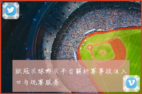 欧冠买球哪买平台解析赛事投注入口与观赛服务