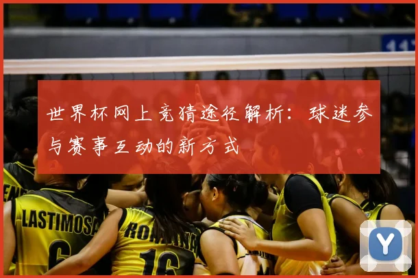 世界杯网上竞猜途径解析：球迷参与赛事互动的新方式