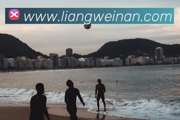 华体育会登录网官网平台生态图